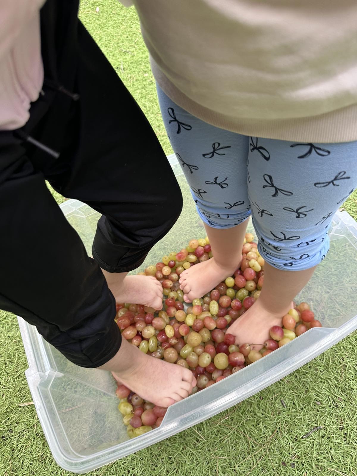 TRUGOS3
